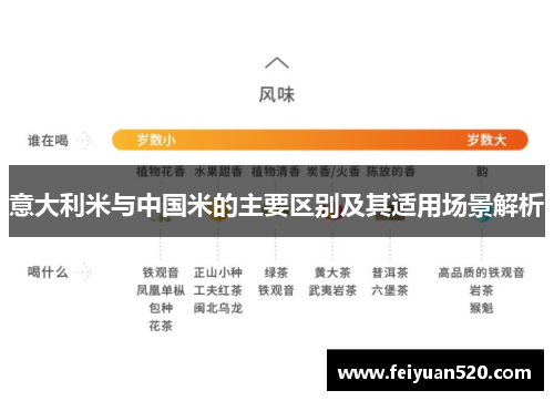 意大利米与中国米的主要区别及其适用场景解析